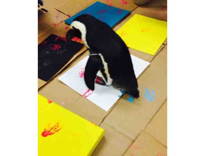 Jitterbug by Maddie and Juniper, African Penguins