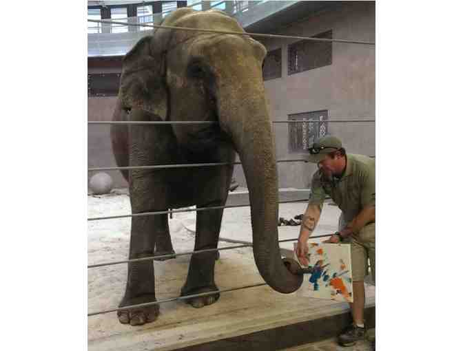 The Kiss by Dolly the Elephant