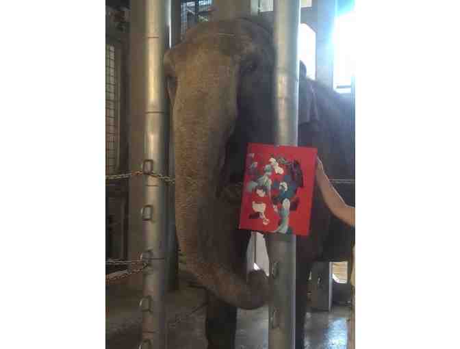 The Mask by Dolly the Elephant