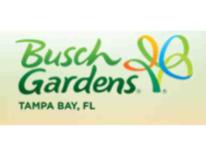 Busch Gardens Tampa, Florida