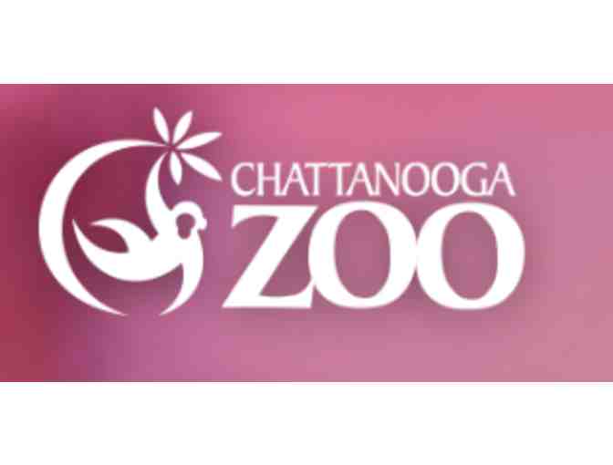 Chattanooga Zoo - Photo 1
