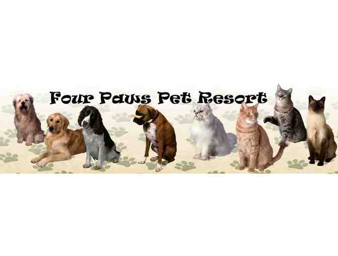 Four Paws Pet Resort - 3 night stay, 2 times a day play and bath - Photo 1