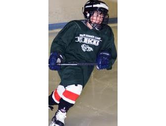 Babson College Ice Hockey Camp