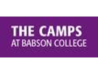 Babson College Ice Hockey Camp