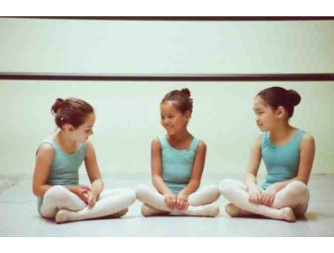 The Brookline Ballet School Open Adult Drop-in Classes (10)