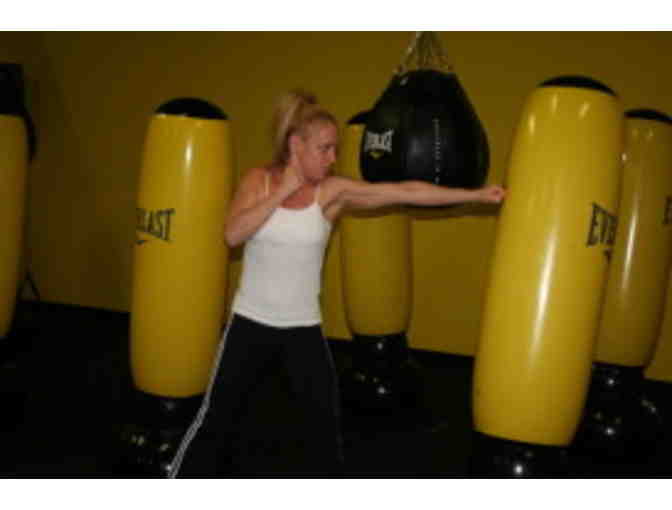 Alley's Boxing Boot Camp - One Year Free Membership + Bootcamps