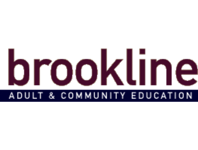 Brookline 'SmartSummers'