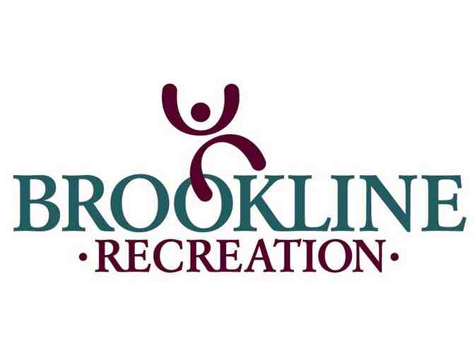 Brookline Recreation Camps
