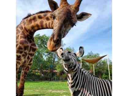 Zoo New England - Family 4-Pack