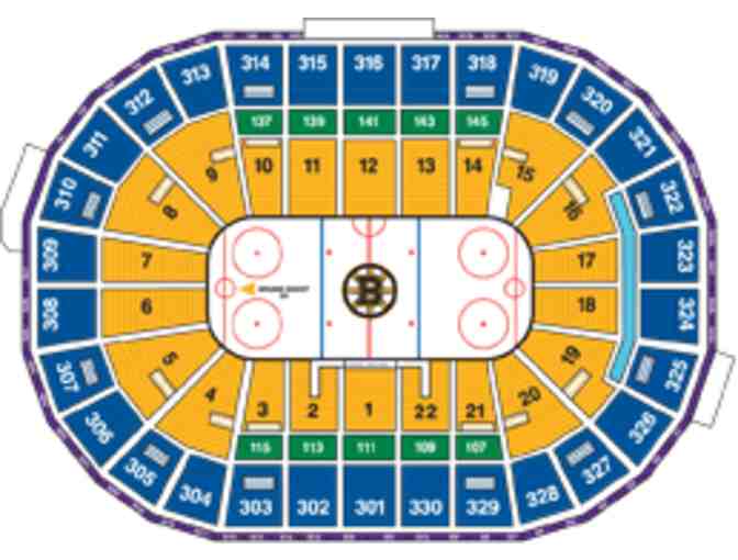 Boston Brunis Tickets - Section 317 Row 1