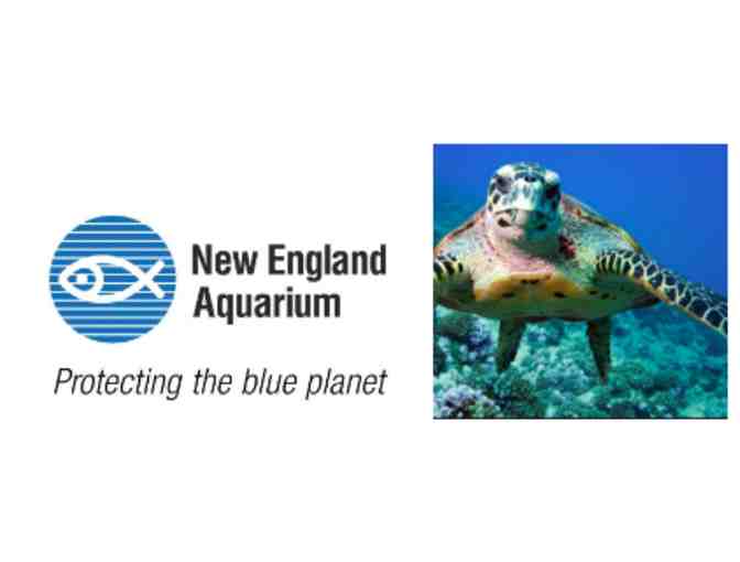 2 Passes New England Aquarium - Photo 1