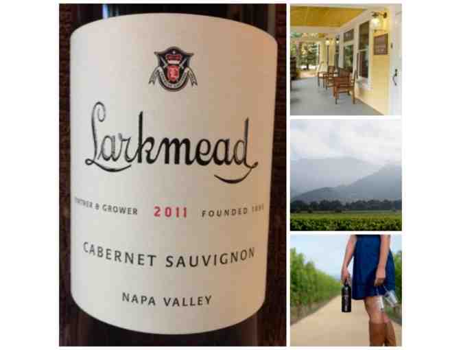 Larkmead Vineyards private tour and bottle - Photo 1