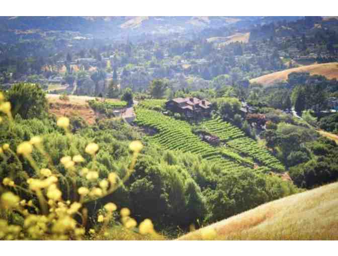 Tour and Cheese Plate in Scenic Winery Setting for 5