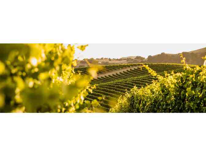 2015 Artesa Pinot Noir Magnum and Signature Tasting Experience at Artesa Vineyards