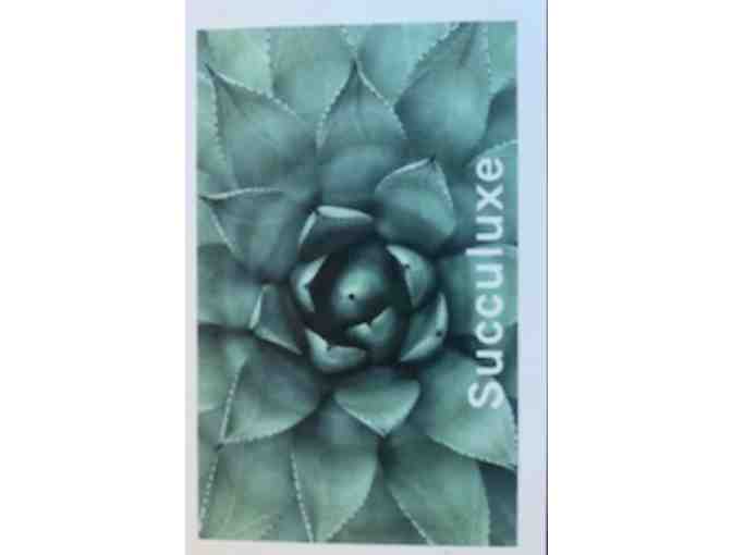 Felt Succulent Wreath