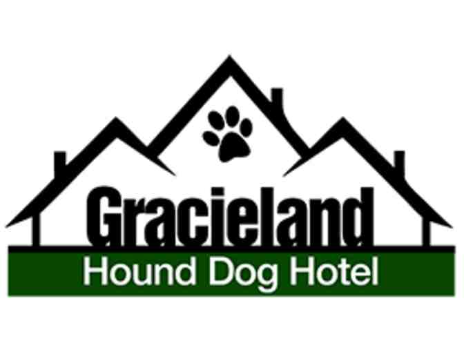 Pet Care, Boarding and $20 Southern Agriculture Gift Certificate