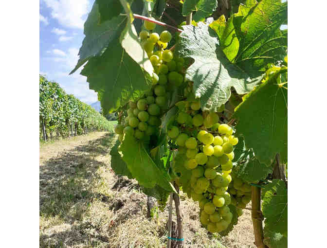 Taste the Bubbles of Italy at Home