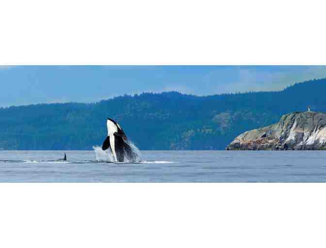 Whale Watching Adventure for Two