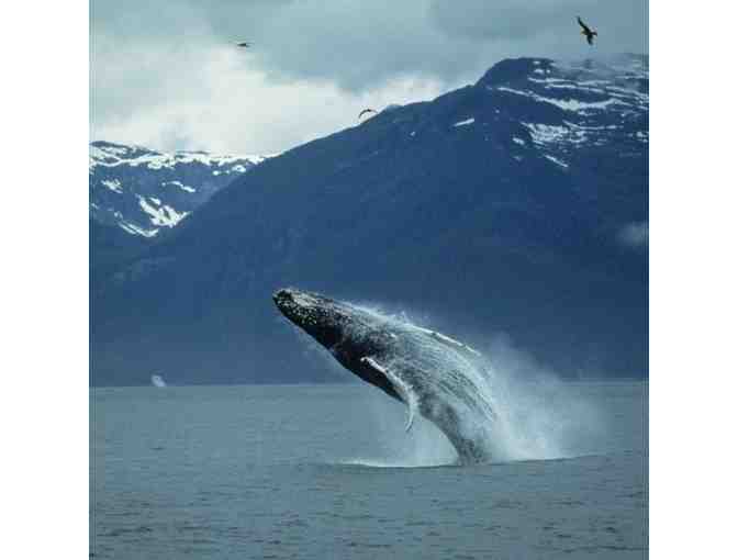 Whale Watching Adventure for Two