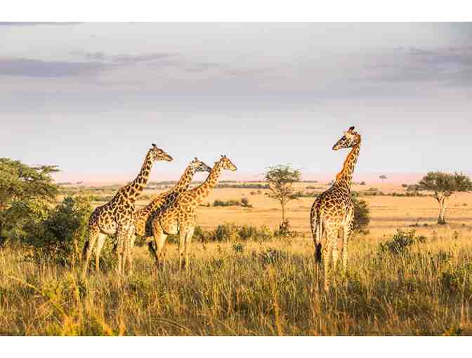 Kenya Adventure for 2