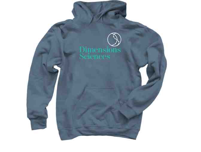 Exclusive DS Logo Hoodie