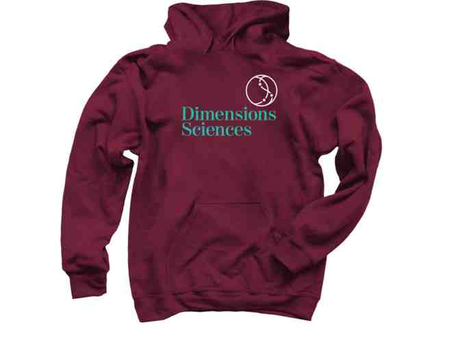 Exclusive DS Logo Hoodie