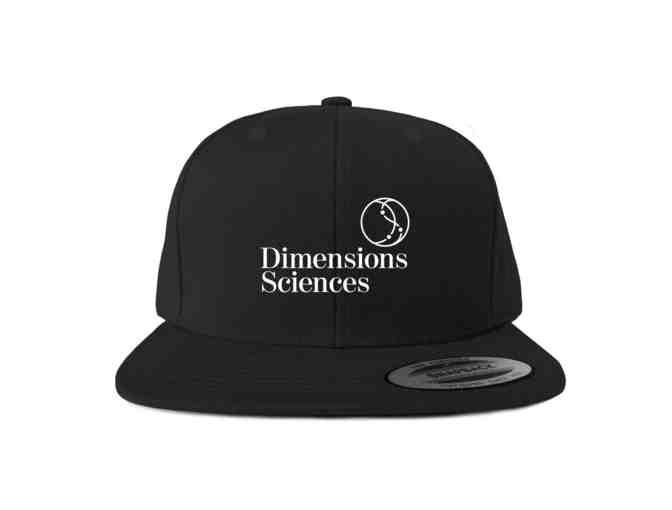 Exclusive DS Logo Snapback Hat