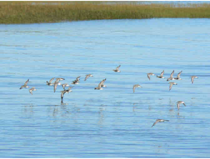 Barnstable Harbor Ecotour - Two (2) Tickets