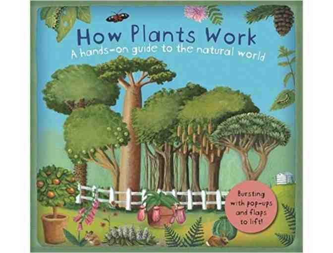 How Plants Work: A hands-on guide to the natural world