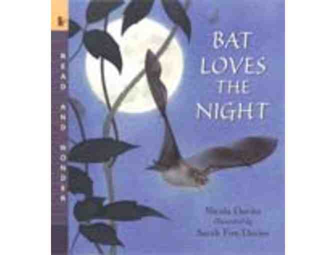 Book Set: Birds and Bats