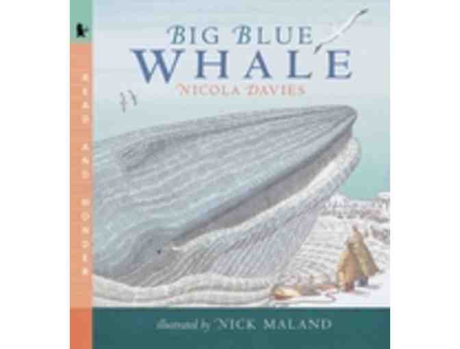 Book Set: Whales and Sharks