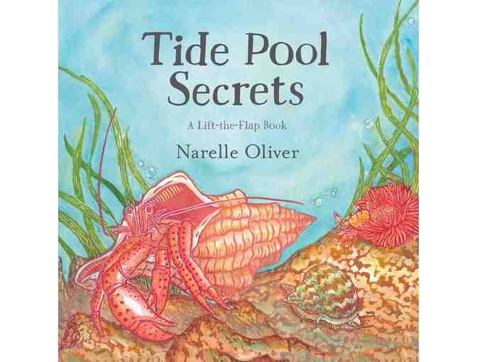 New England Aquarium Passes + Tide Pool Book