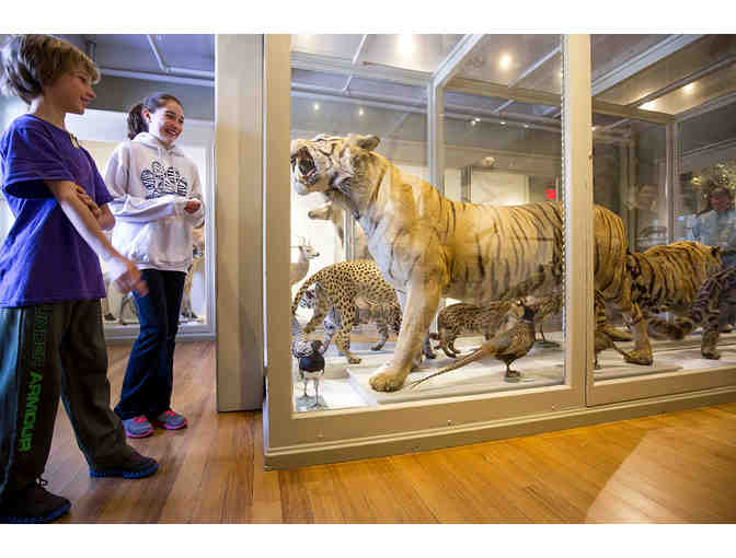 Harvard Museum of Natural History - Four Admission Passes