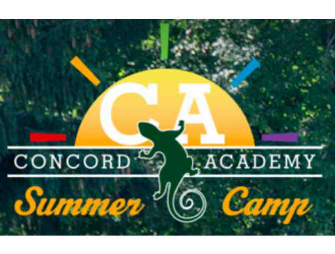 Concord Academy - One Week of Summer Camp!