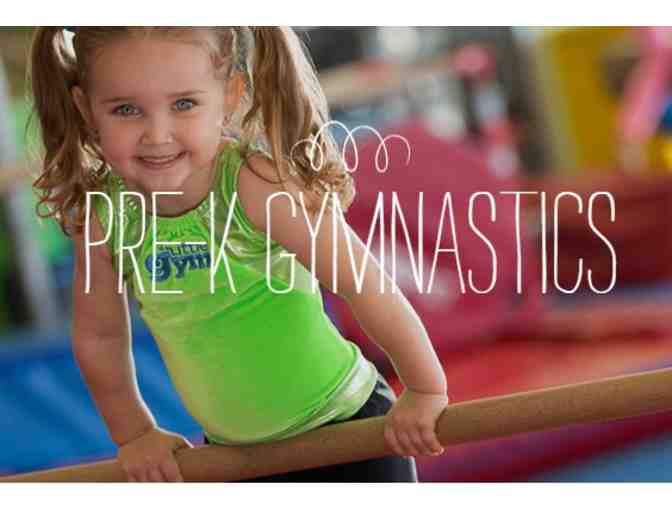 The Little Gym of Littleton - One Month of Free Classes