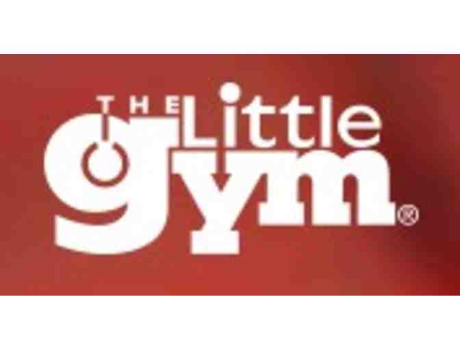 The Little Gym of Littleton - One Month of Free Classes