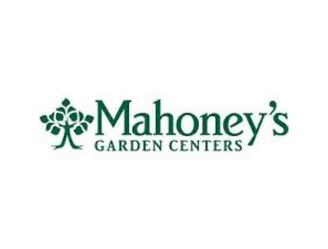 Mahoney's Garden Centers - $50 Gift Certificate