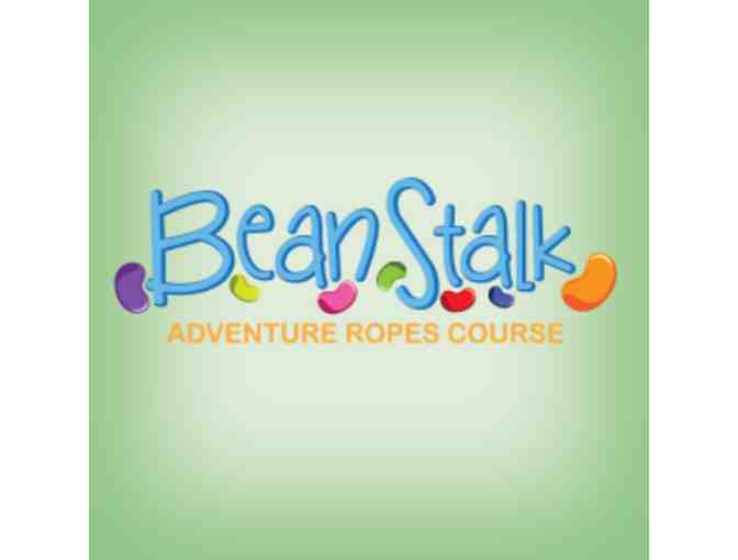 BeanStalk Adventure Ropes Course - 4 Free Admission Passes - Photo 3