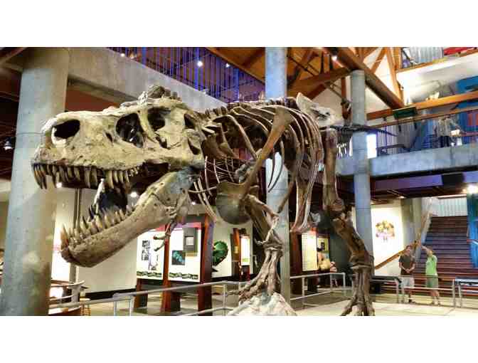 Montshire Museum of Science - Free Admission for Two