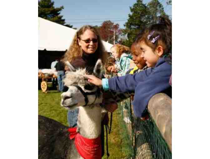 Topsfield Fair - Family 4-Pack of Admission Tickets for the Annual 2021 Topsfield Fair
