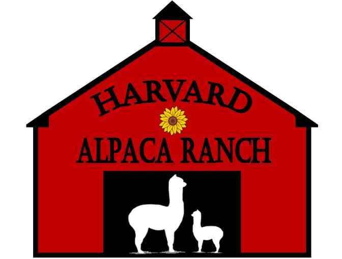 Harvard Alpaca Ranch - Enhanced Tour of the Ranch for up to Five People