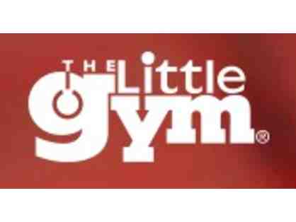 The Little Gym of Littleton - One Month of Classes for $1