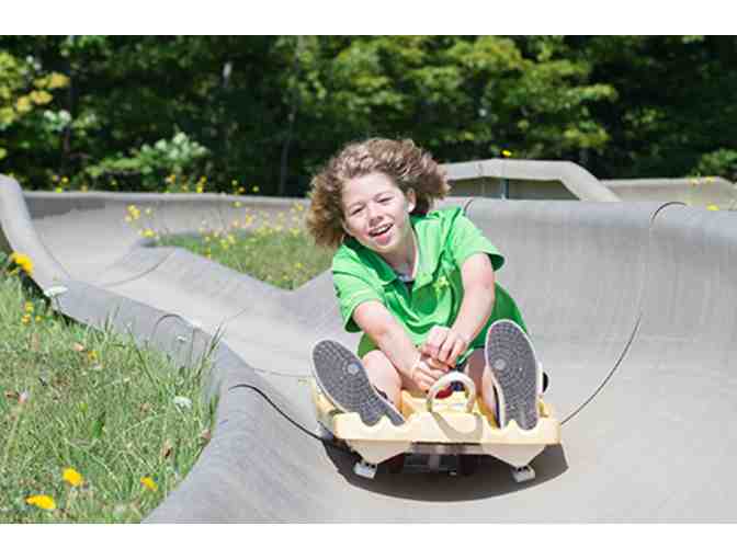 Bromley Mountain's Summer Adventure Park - Four All Day Mountain Adventure Park Passes - Photo 2