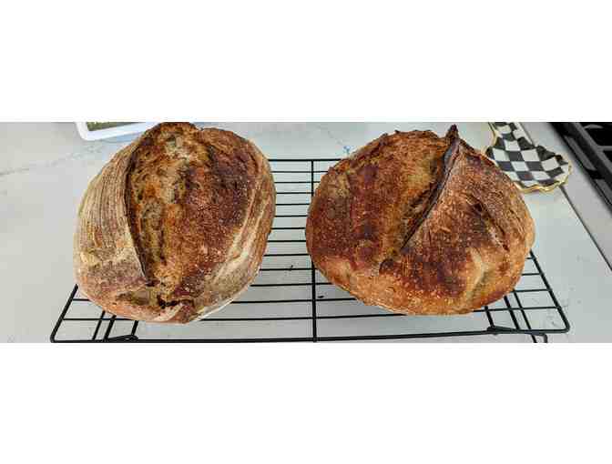 Harris Hearth Breads - $50 Gift Card (#1) - Photo 4