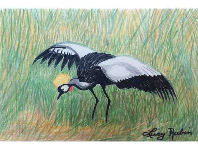 Original Drawing of a Yellow Tufted Crane by Lucy Rubin