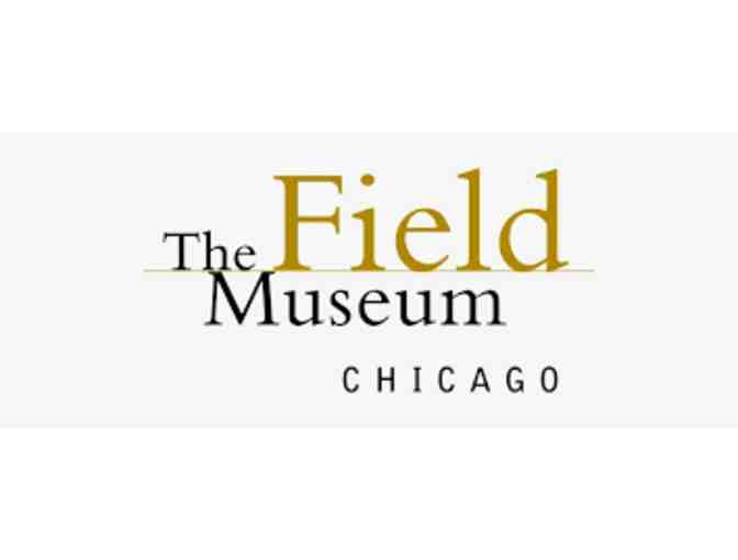 Chicago Museums Excursion