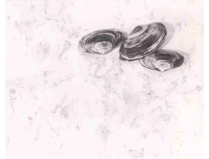 One Peck (12.5lb) of Clams