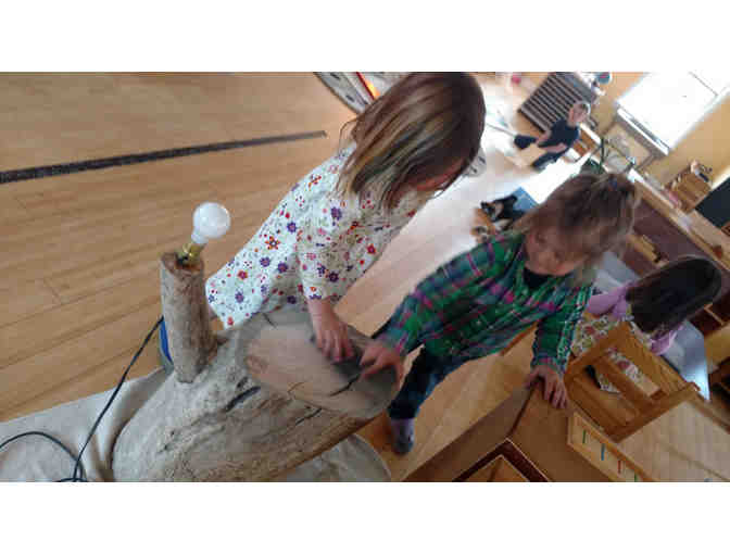 Loon's class project