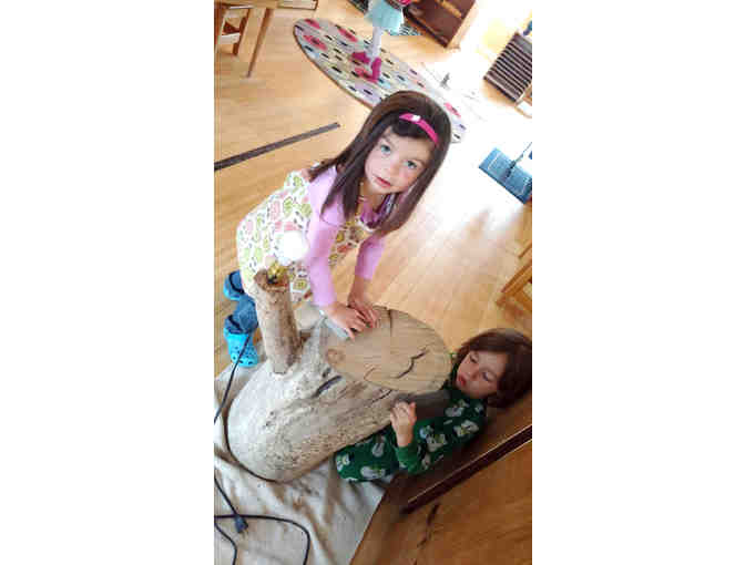 Loon's class project