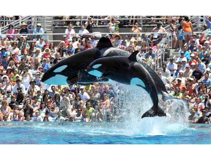 4 Single Day Admission Tickets to SeaWorld San Diego